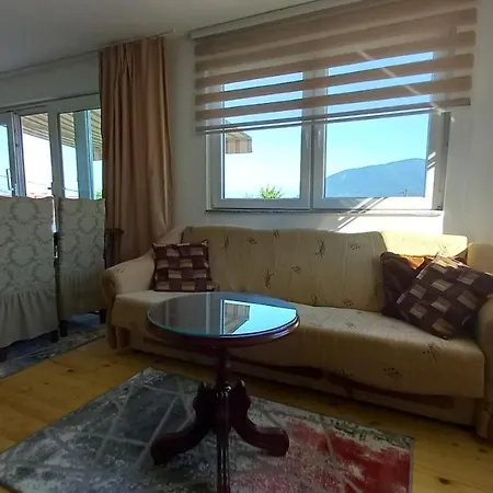 Ejna , Misevici Villa *