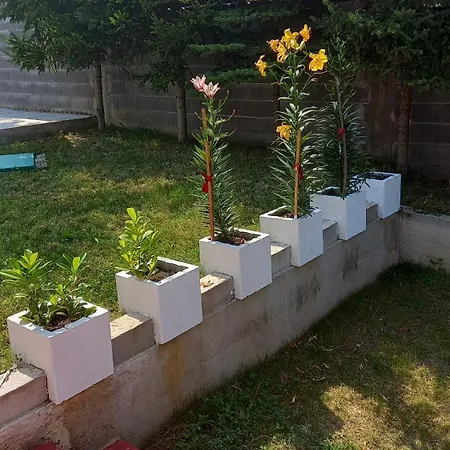 Ejna , Misevici Villa *