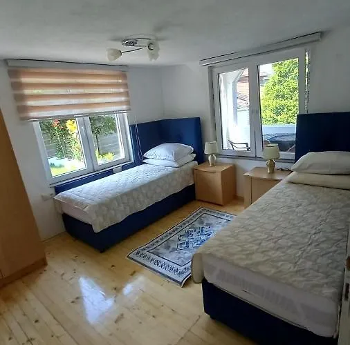 Vila Ejna , Misevici